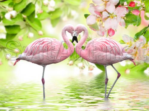 Pink flamingos - F-163