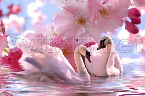 Pink swans and pink flowers - F-231