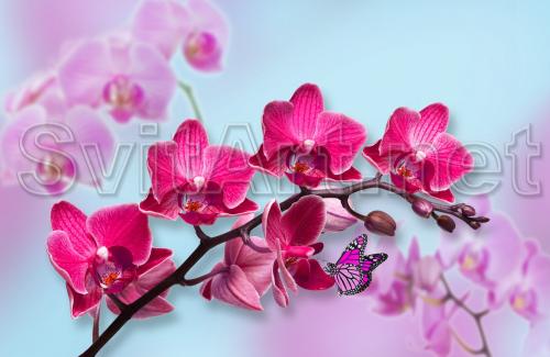Ramur&#259; de orhidee ro&#537;u &#537;i roz - F-272
