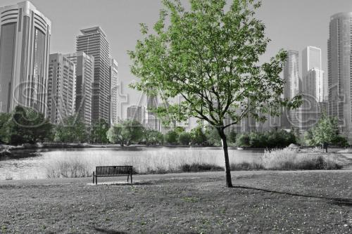 Green tree on a gray city background - F-271