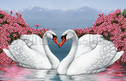 White swans - FV-188