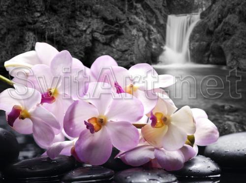 Roza orhidee si cascada in tonuri gri - F-277