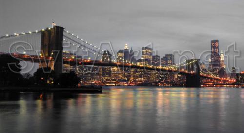 Brooklyn Bridge in gray tones - F-153