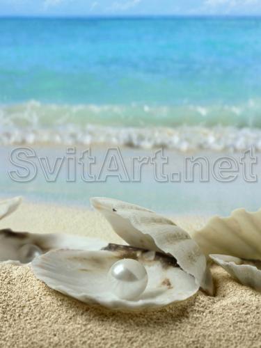 White pearls on the beach - F-120