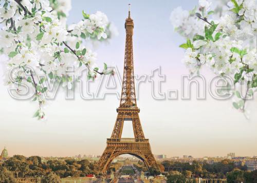 Turnul Eiffel &#537;i ramurile copacilor &#238;nflori&#539;i pe margini - F-295