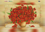 Red poppy flowers - XB SI-546