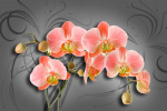 Pink orchids on a gray background with a pattern - F-290