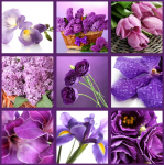 Collage of flowers - F-169