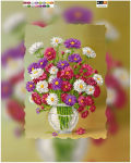 Multicolored carnations -  A-319