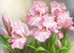 Buchet de flori roz - A-054