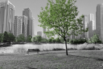 Green tree on a gray city background - F-271