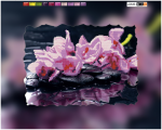 Pink flowers on a dark background -  F-039