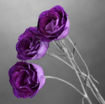 Purple roses on a gray background - F-208