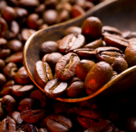 Shoulder with coffee beans - F-249f