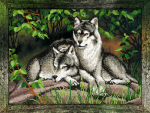 Gray wolves among the greenery -  A-040
