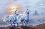 A pair of white horses on the coast - SI-728