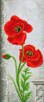 Red poppies on a gray background - E-004