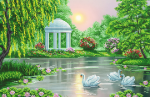 Three beautiful swans in the lake - A-328a