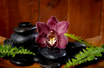 Dark red orchid and black stones - F-090