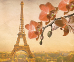 Picture-Eiffel Tower and a branch of flowers - F-296
