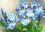 Blue flowers - A-054a