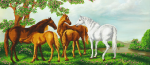Wild horses in nature - A-202