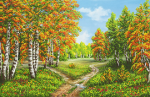 Beautiful autumn forest - A-333