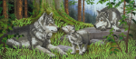 A pack of peaceful gray wolves - A-223