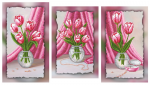 Pink curtains and tulips - XB MVSI-508