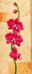 Red orchid on a turquoise background - E-001