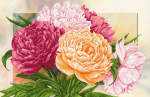 Bouquet of peonies - A-119