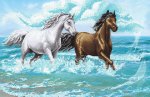 Two horses by the sea - SI-517a