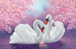 A pair of white swans near a cherry - SI-503