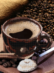 Puternă cafea neagră - F-031