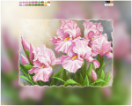 Pink lilies on stems -  A-054