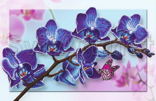 Blue branch of an orchid - F-272a