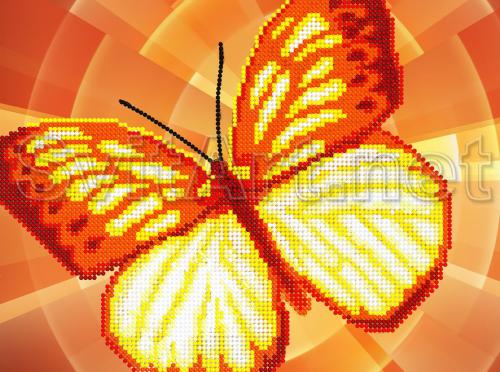 Painting butterflies in Art Nouveau style - A-026