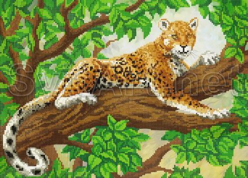 Leopard &#238;ntr-un copac - A-082