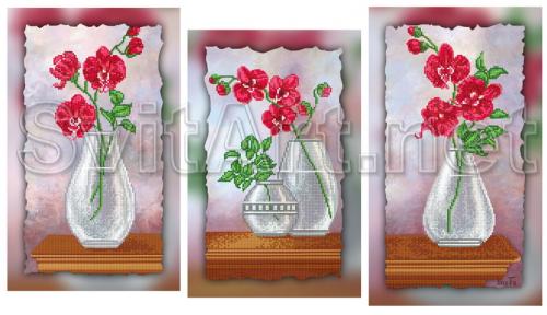 Transparent vases with flowers - XB MVSI-507