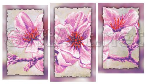 Flori roz pe o ramur&#259; - XB MVA-048