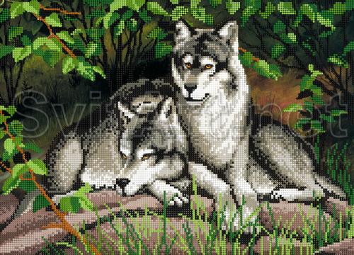 Two wolves lie on the grass - A-040