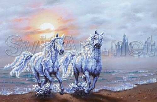 A pair of white horses on the coast - SI-728
