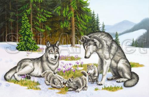 Wolf family in the clearing in winter - SI-719a