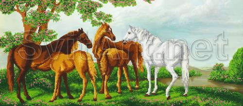 Wild horses in nature - A-202