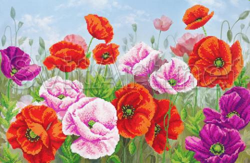 Multicolored poppies in the field - SI-585