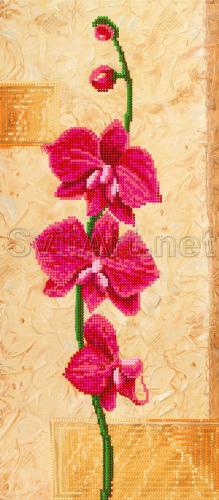 Ro&#537;u orhidee pe fundal turcoaz - E-001