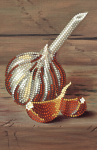Head of garlic - SI-173a