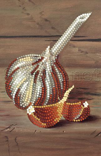 Head of garlic - SI-173a