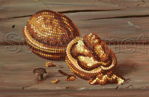 Walnuts on the table - SI-175a