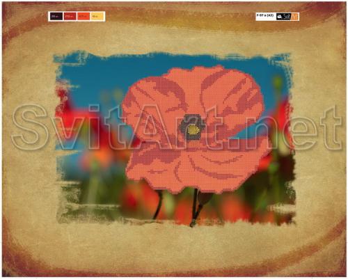 Poppy flower near - �� F-097a